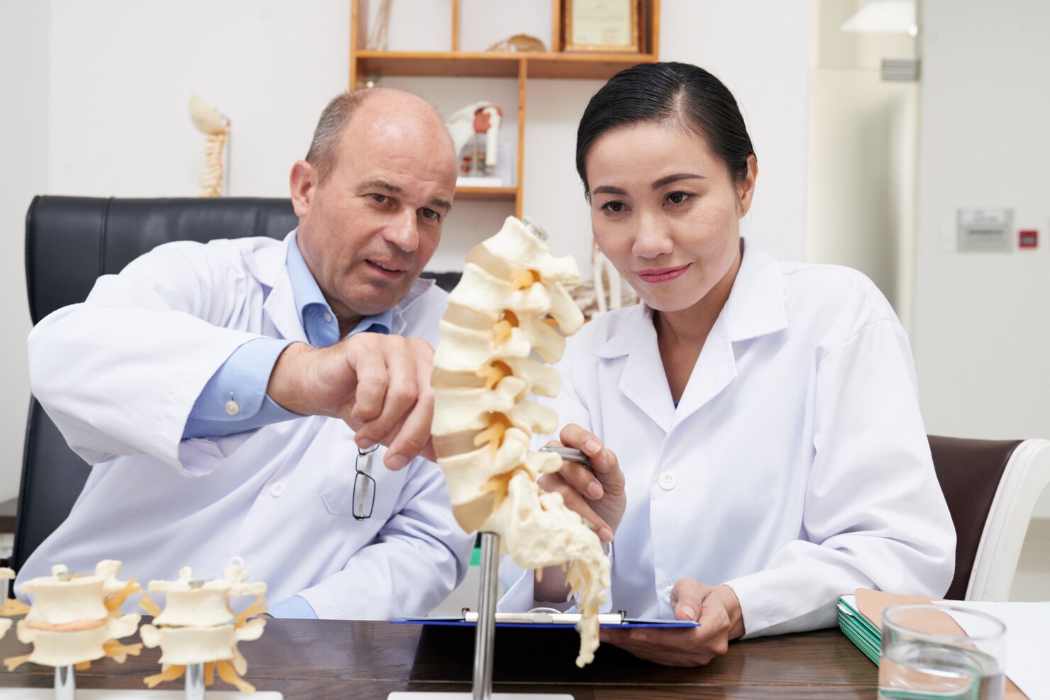 Chiropractors discussing spinal anatomy